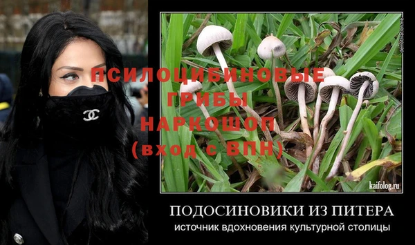 прущая мука Михайлов