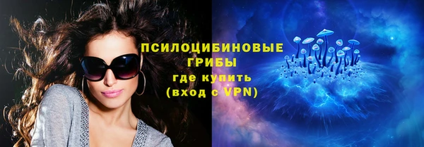 шишки Рославль