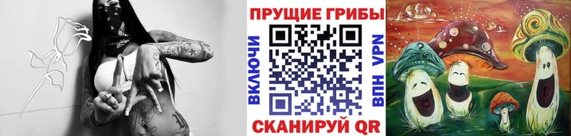 Псилоцибиновые грибы Magic Shrooms  как найти закладки  Жердевка 
